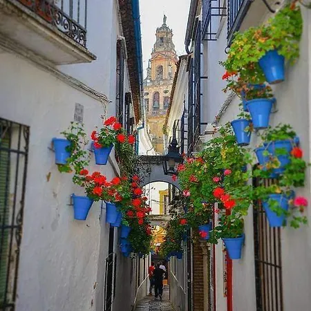 Precioso Loft El Arcangel Ii Junto A La Ribera * コルドバ
